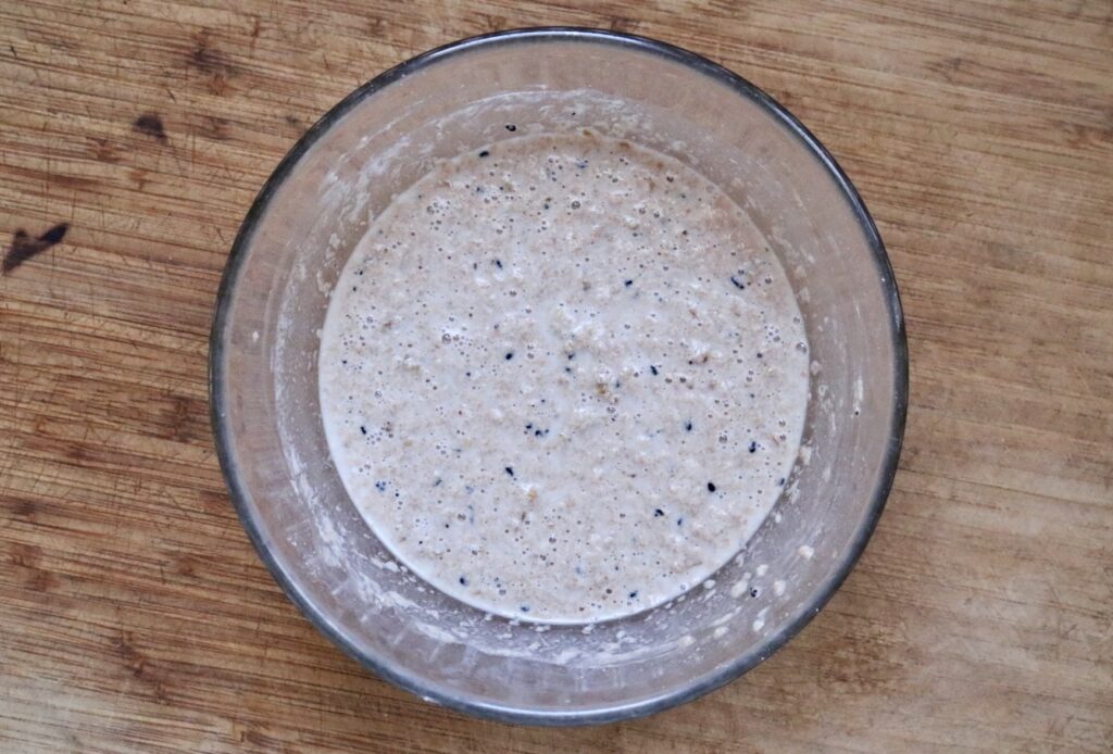 healthy whole grain everything bagels wet dough in glass bowl